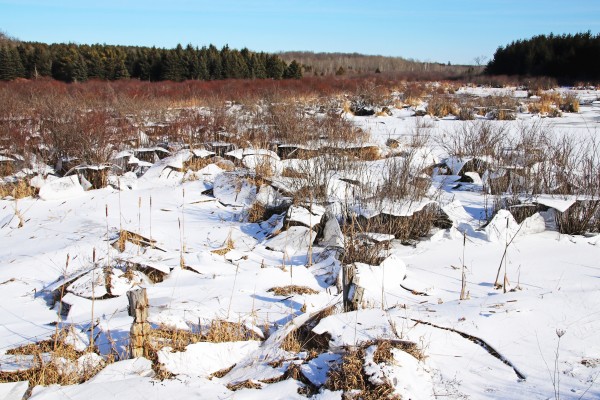 Ice Upheaval by Deb Oppermann